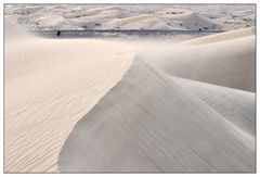 Imperial Sand Dunes...