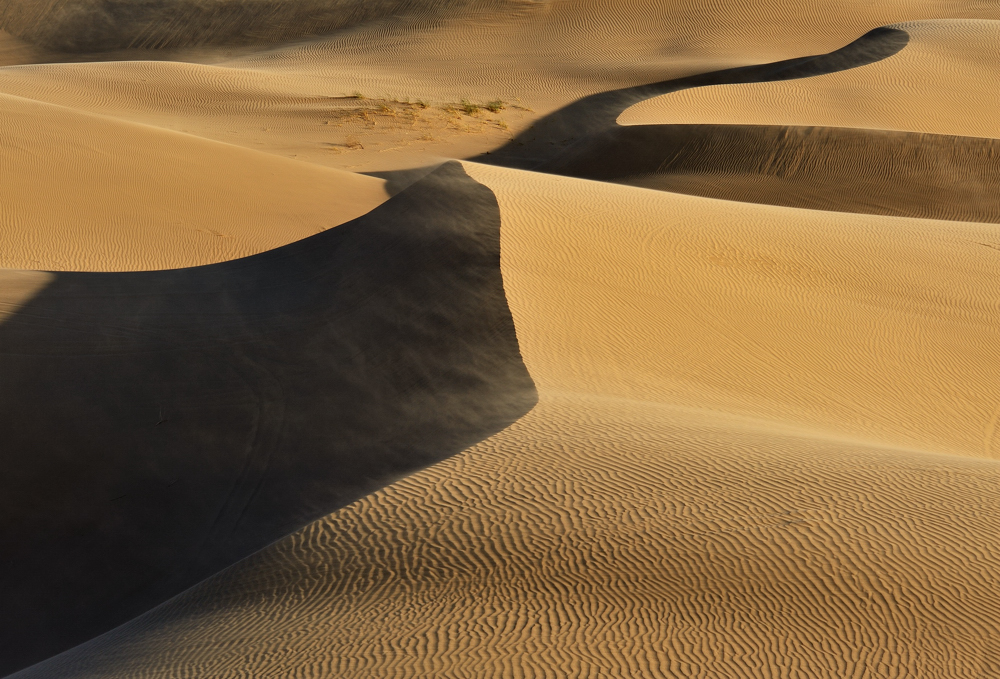 *Imperial Sanddunes*