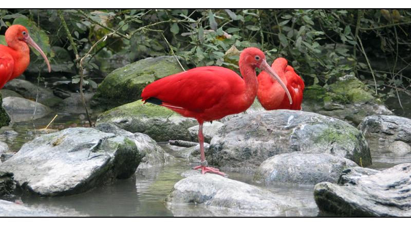 Impessionen im Tierpark Hellabrunn