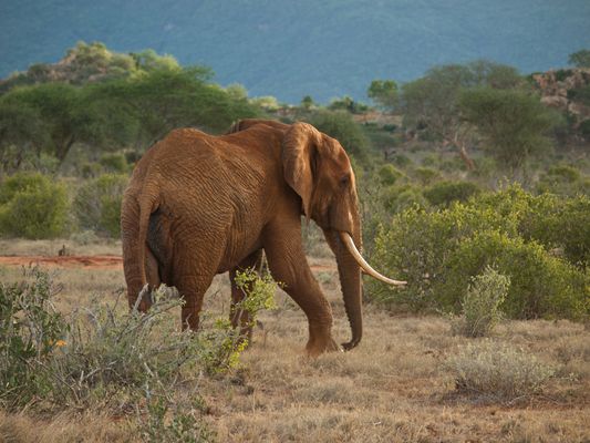 ..... imposant .....