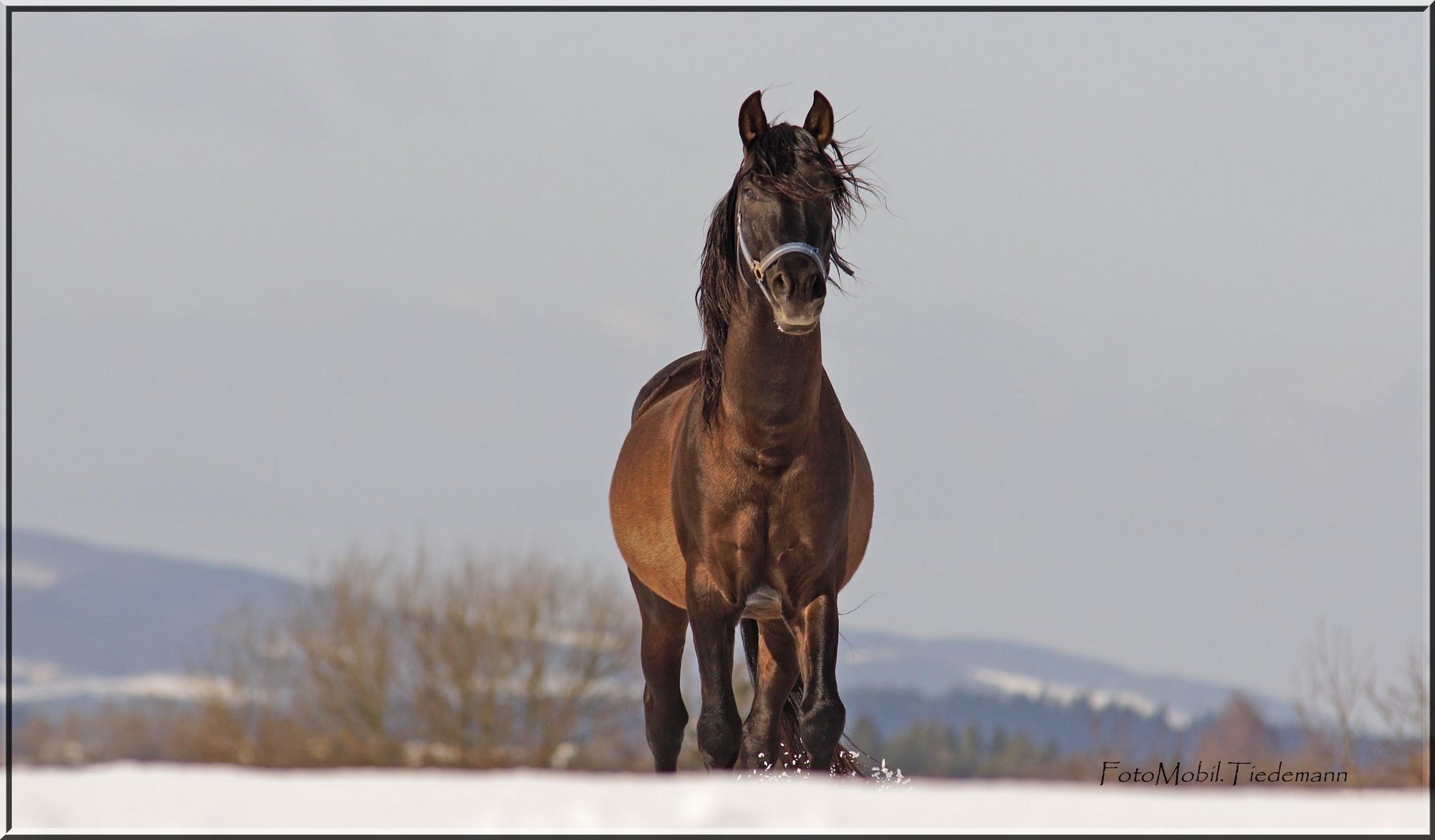 imposing