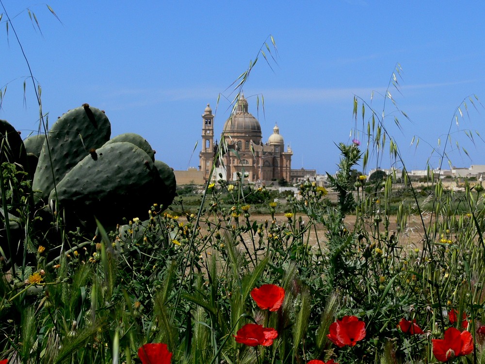 Impreession aus Gozo