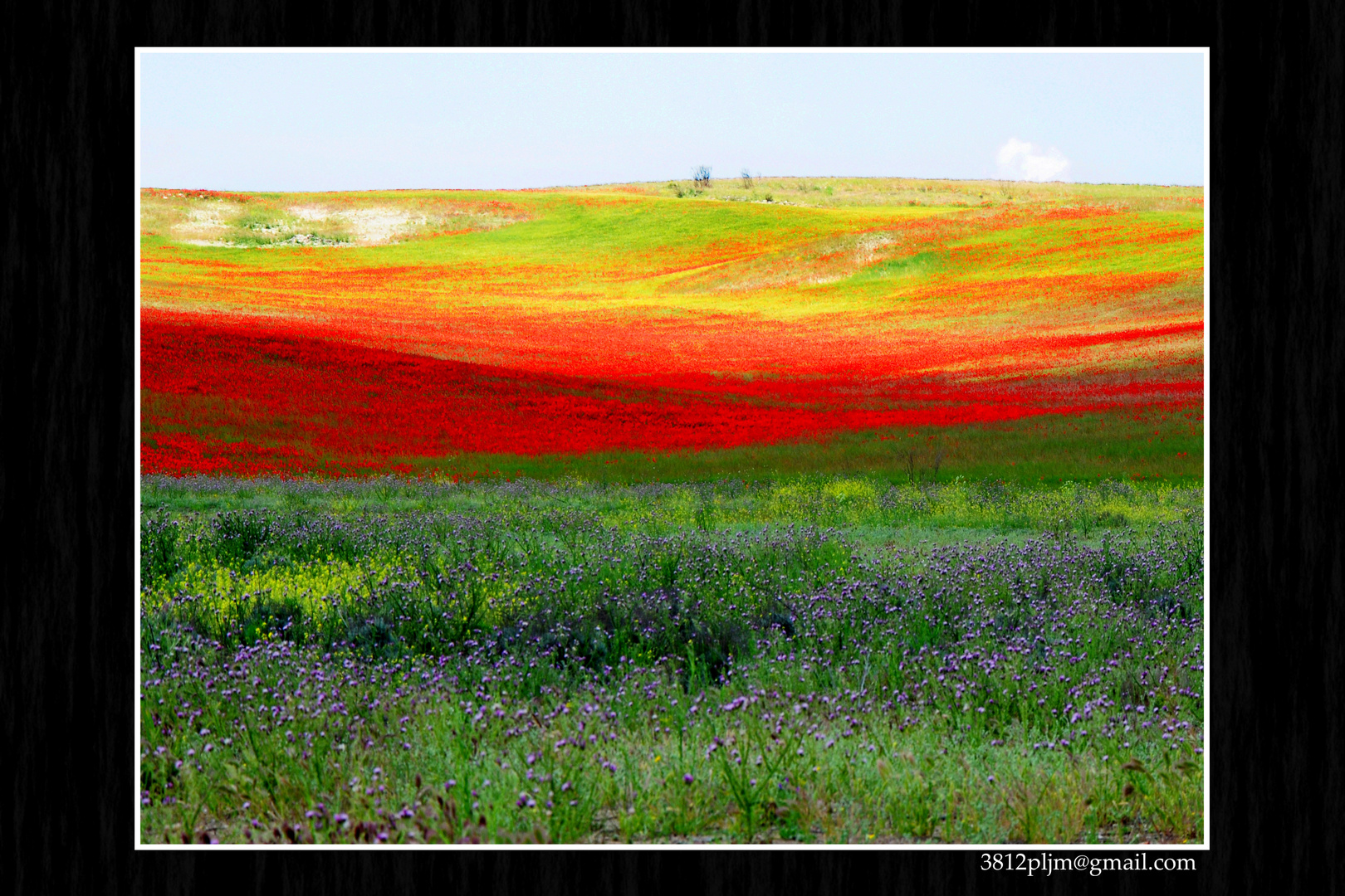 Impresionista Primavera