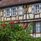 Impression alsacienne en wissembourg