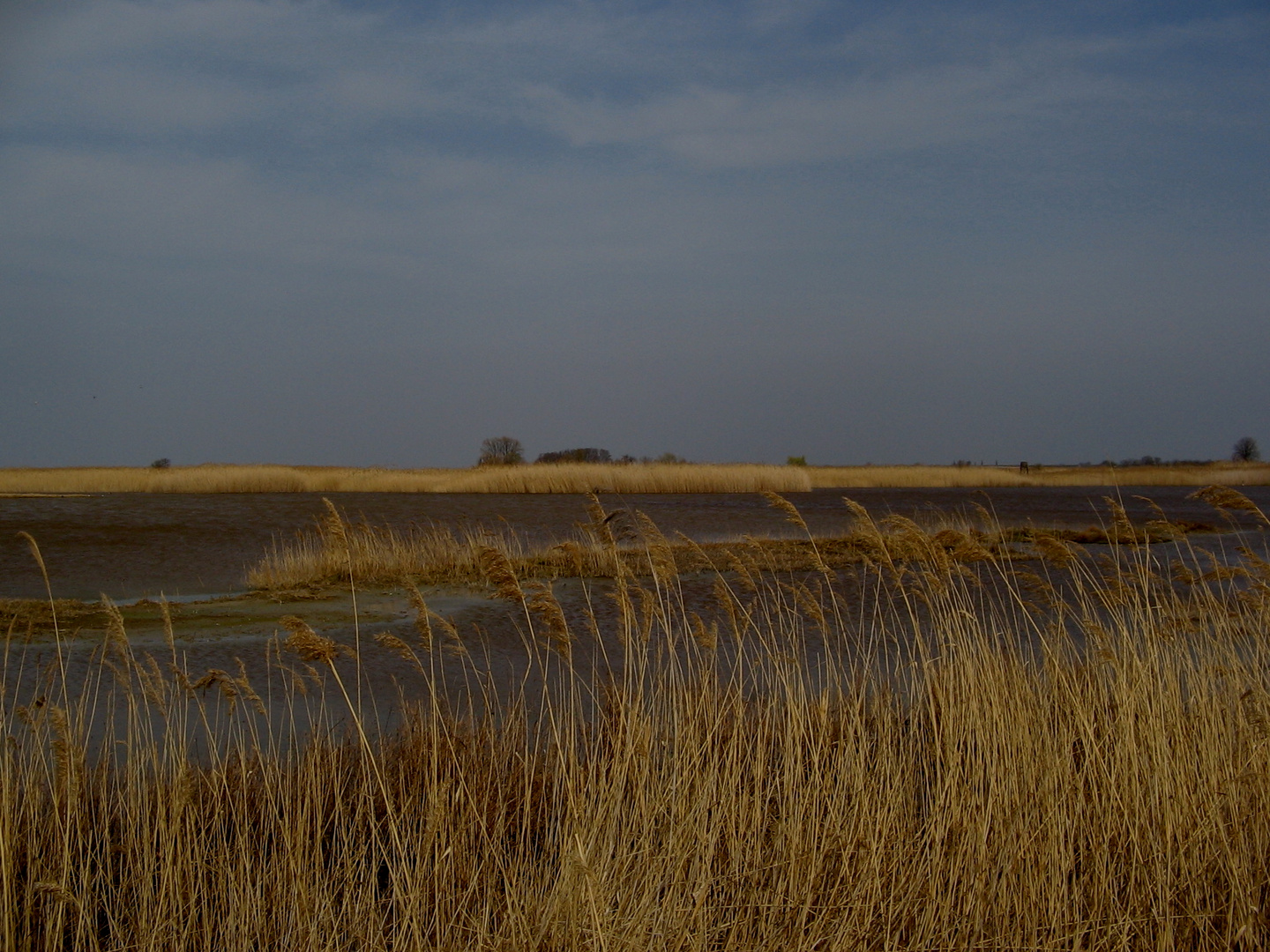 Impression am Neusiedler See bei Illmitz