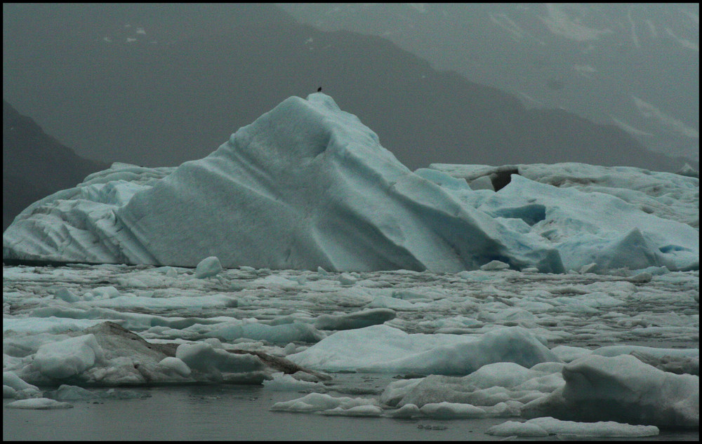 Impression am Prince William Sound (2)