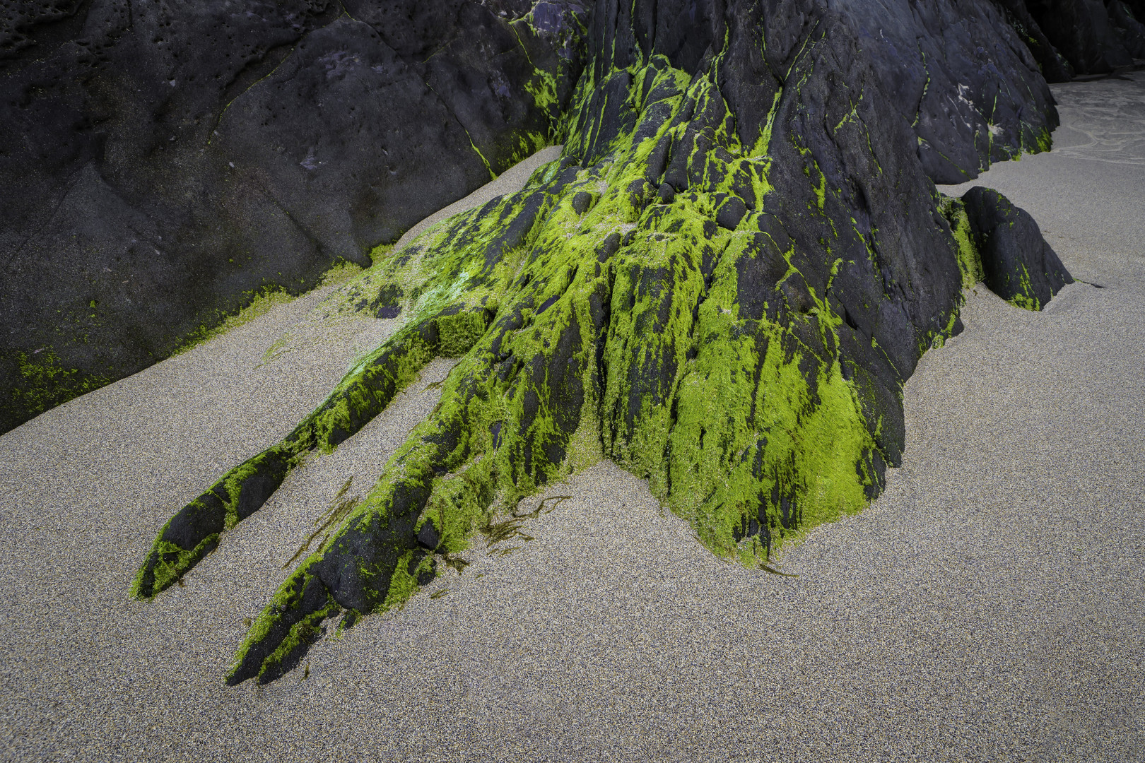 Impression am Strand - I