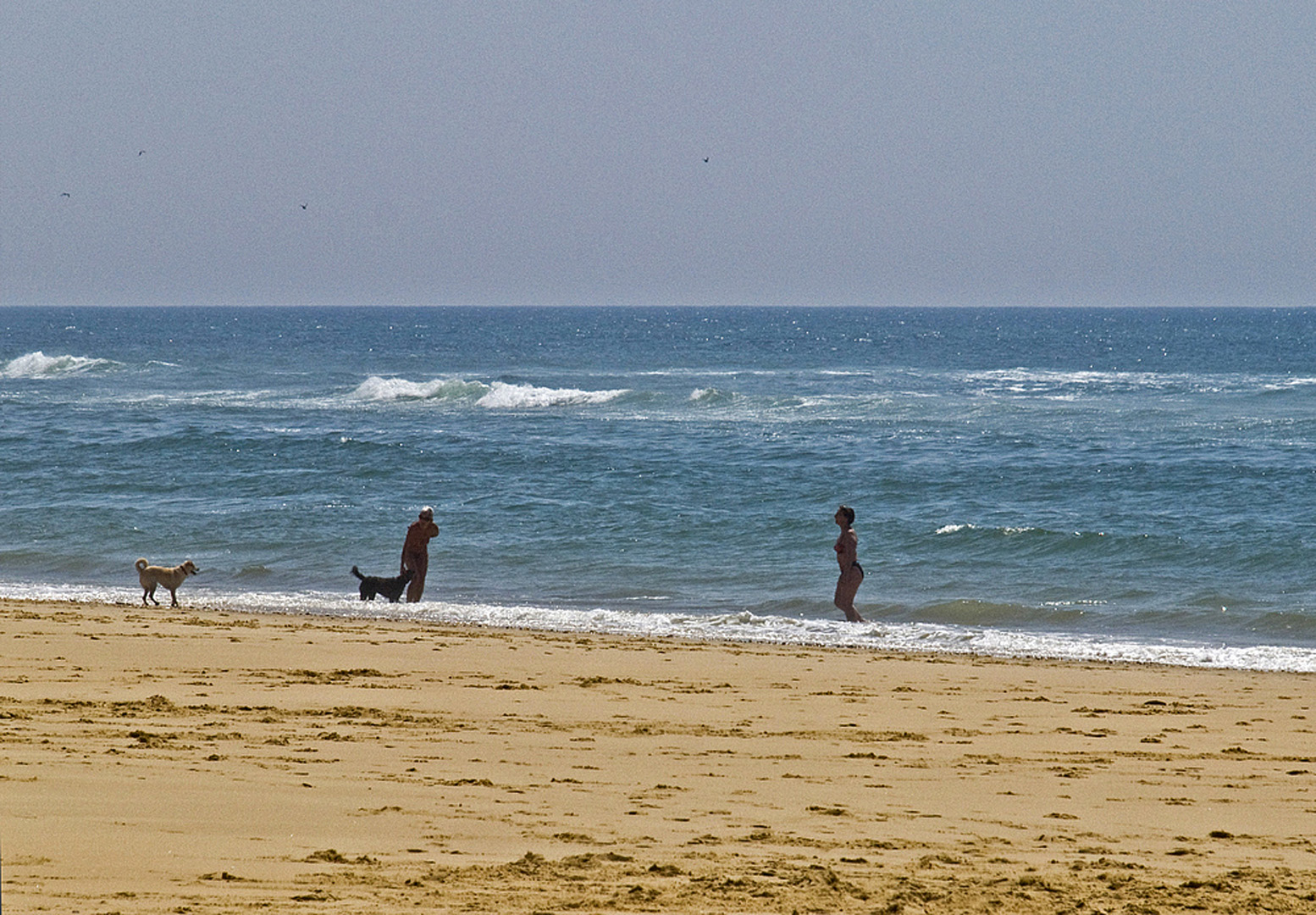 Impression “au ras du sol” sur la plage de Lespecier  4