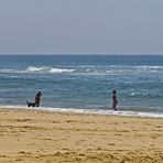 Impression “au ras du sol” sur la plage de Lespecier  4