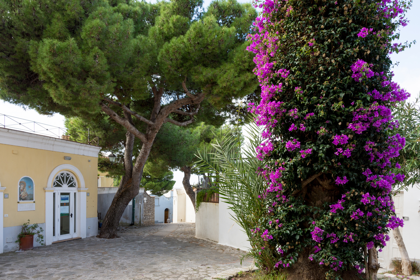 Impression auf Capri