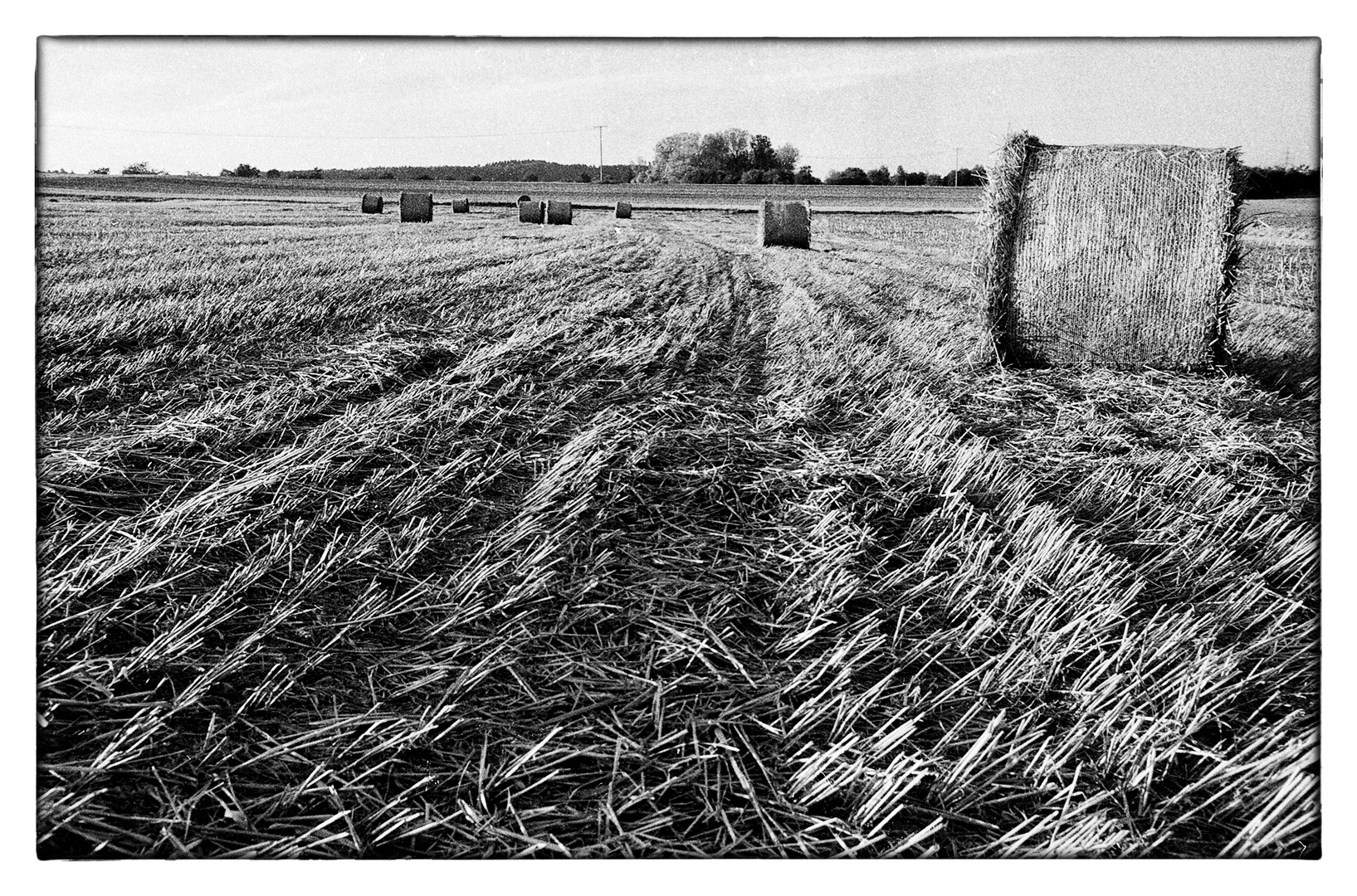 Impression auf einem abgeernteten Feld