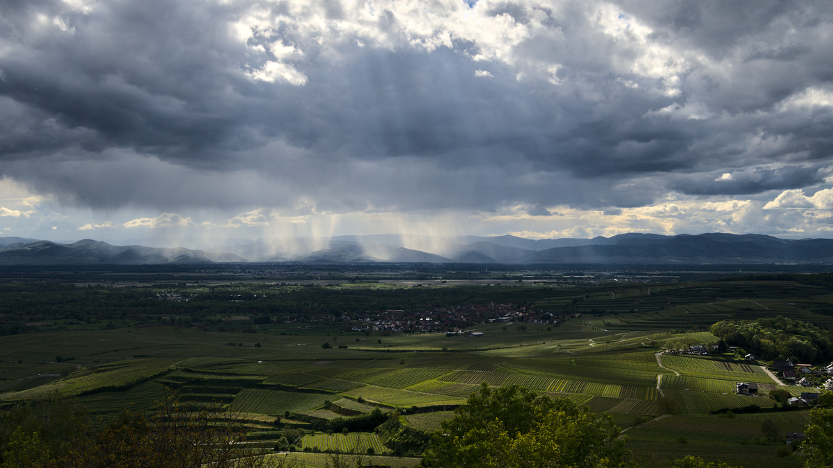 Impression aus dem Kaiserstuhl