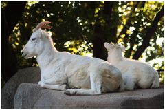 Impression aus dem Leipziger Zoo