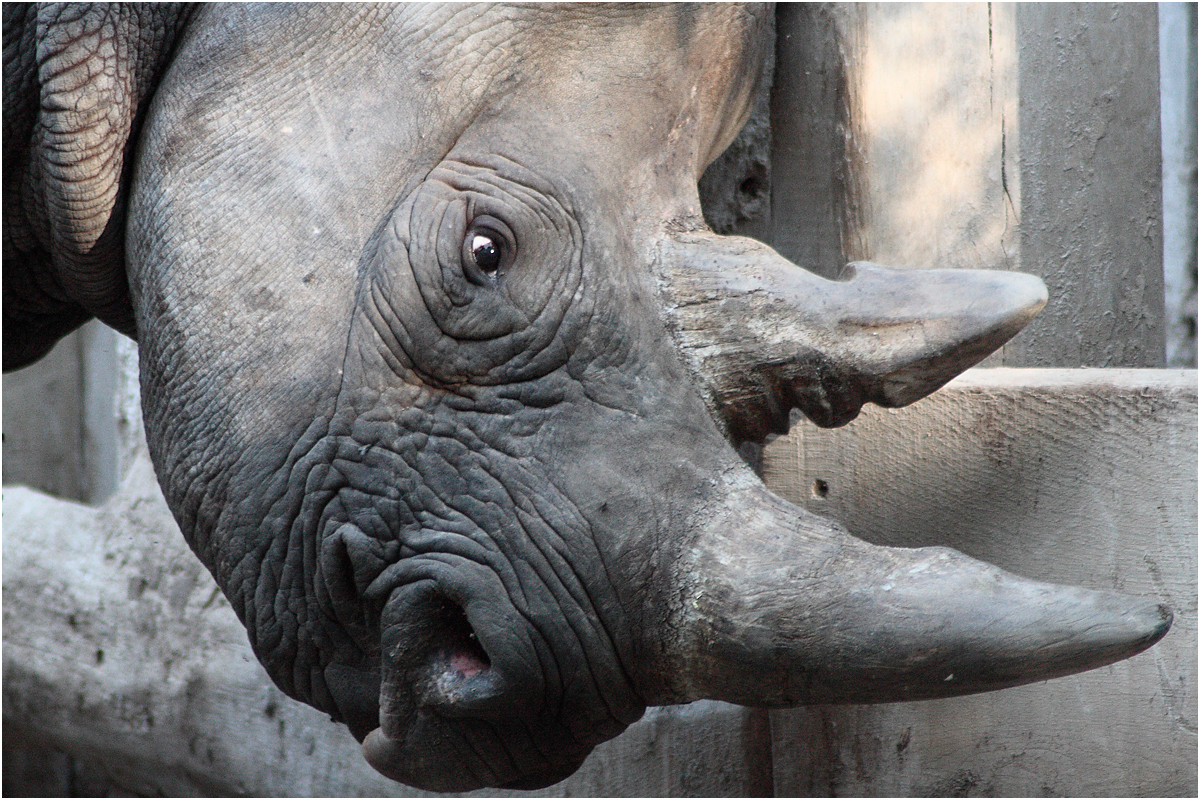 Impression aus dem Leipziger Zoo