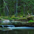 Impression aus dem Waldnaabtal