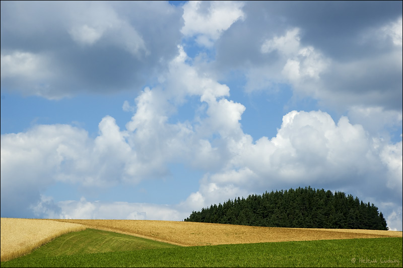 Impression aus dem Waldviertel