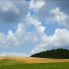 Impression aus dem Waldviertel