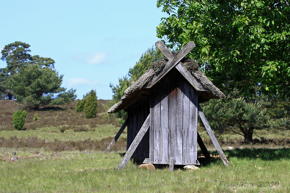 Impression aus der Lüneburger Heide...