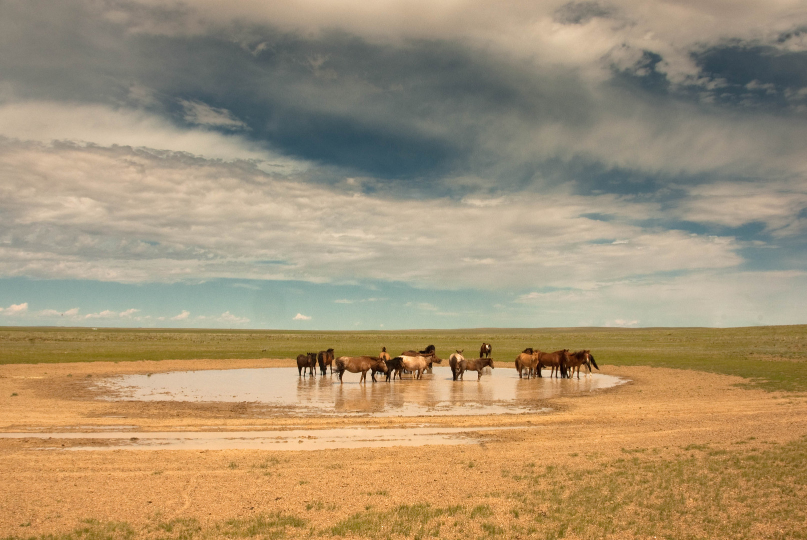 Impression aus der Mongolei 