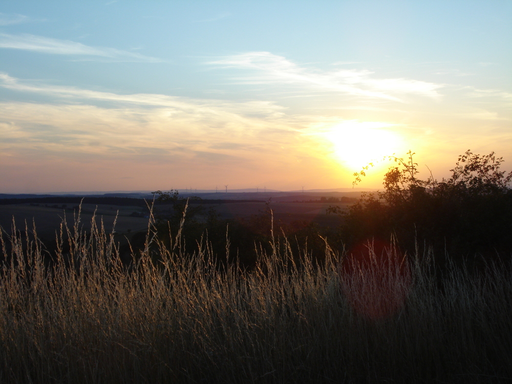 Impression aus der Nordpfalz ( Gerbach)