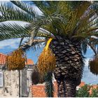 Impression aus Dubrovnik