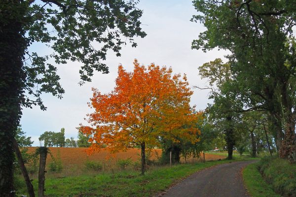 Impression automnale près de chez moi