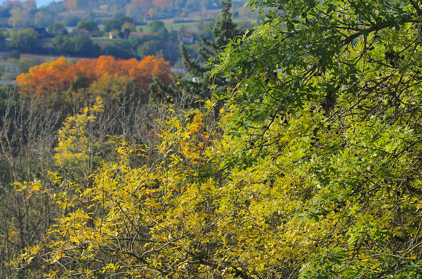 Impression de fin d’automne à Condom