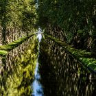 Impression d'un Canal Ombragé