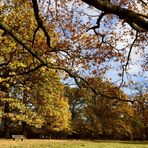  Impression Eichenhain 