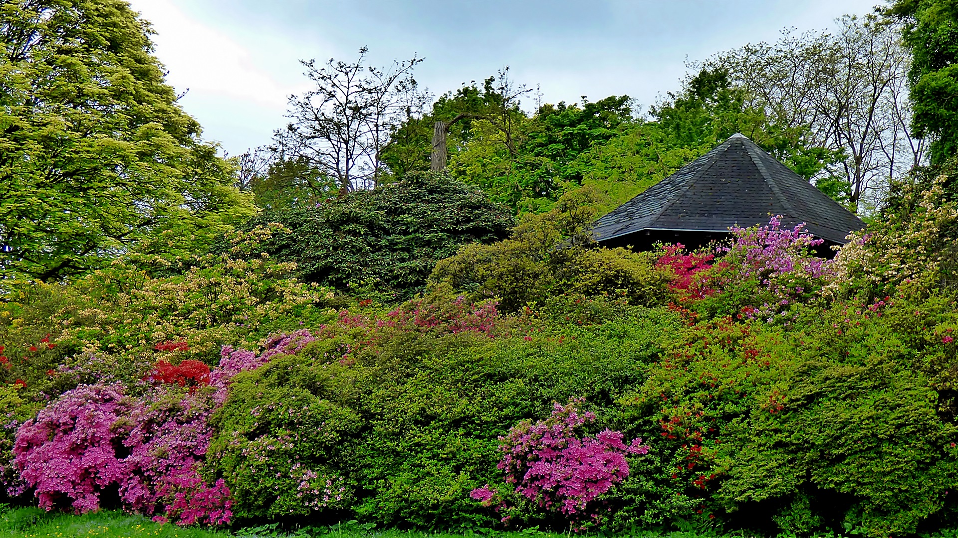 Impression . . . Foto & Bild landschaft, garten