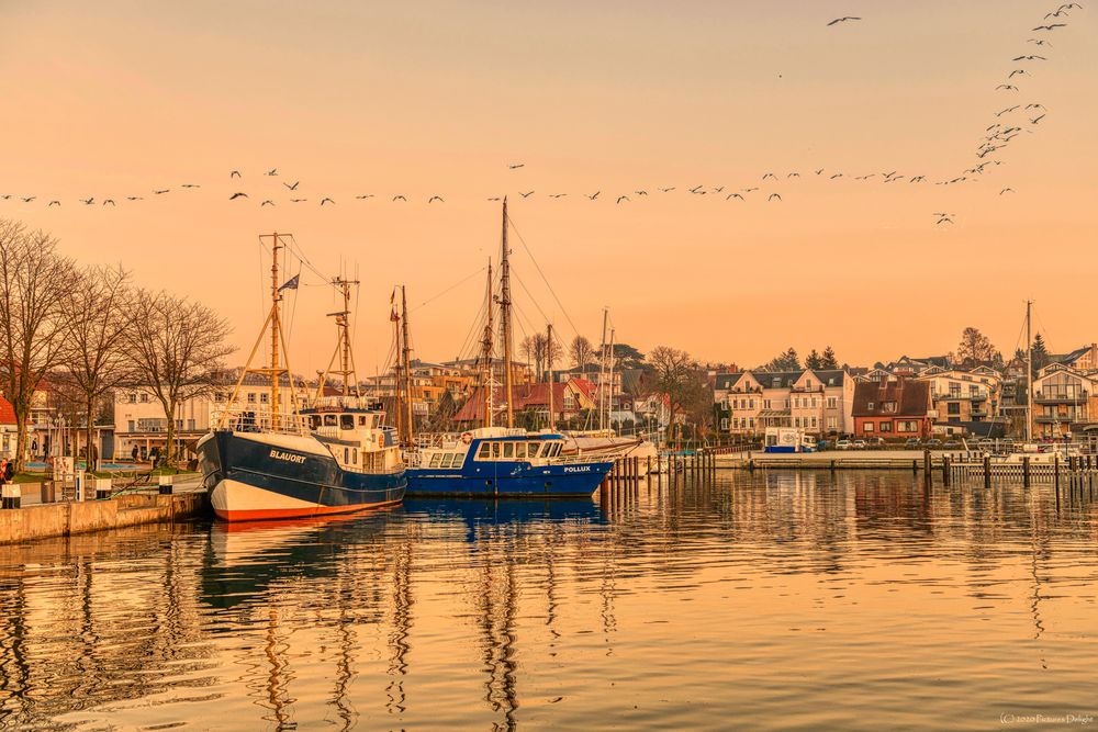 - Impression Hafen Laboe -