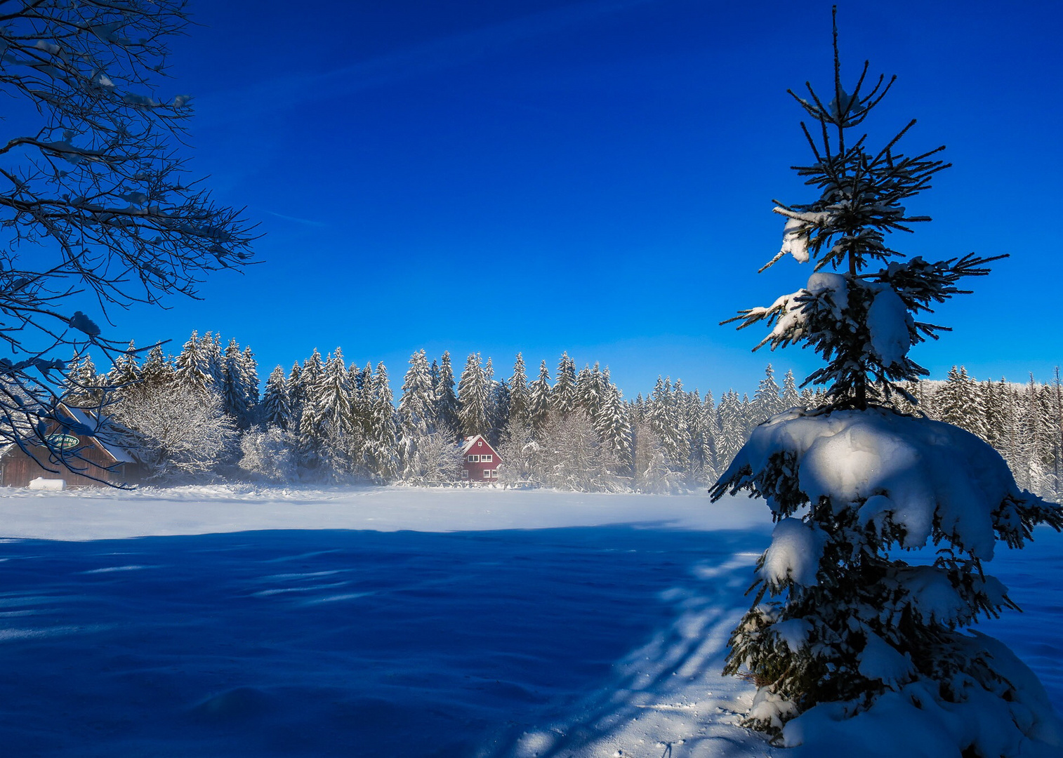 Impression Harz