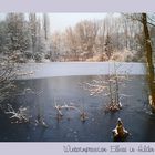 Impression im Winter vom Elbsee