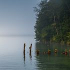 Impression Königssee - Bayern515