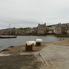 Impression Lerwick