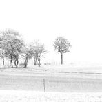 Impression Lichtes.....