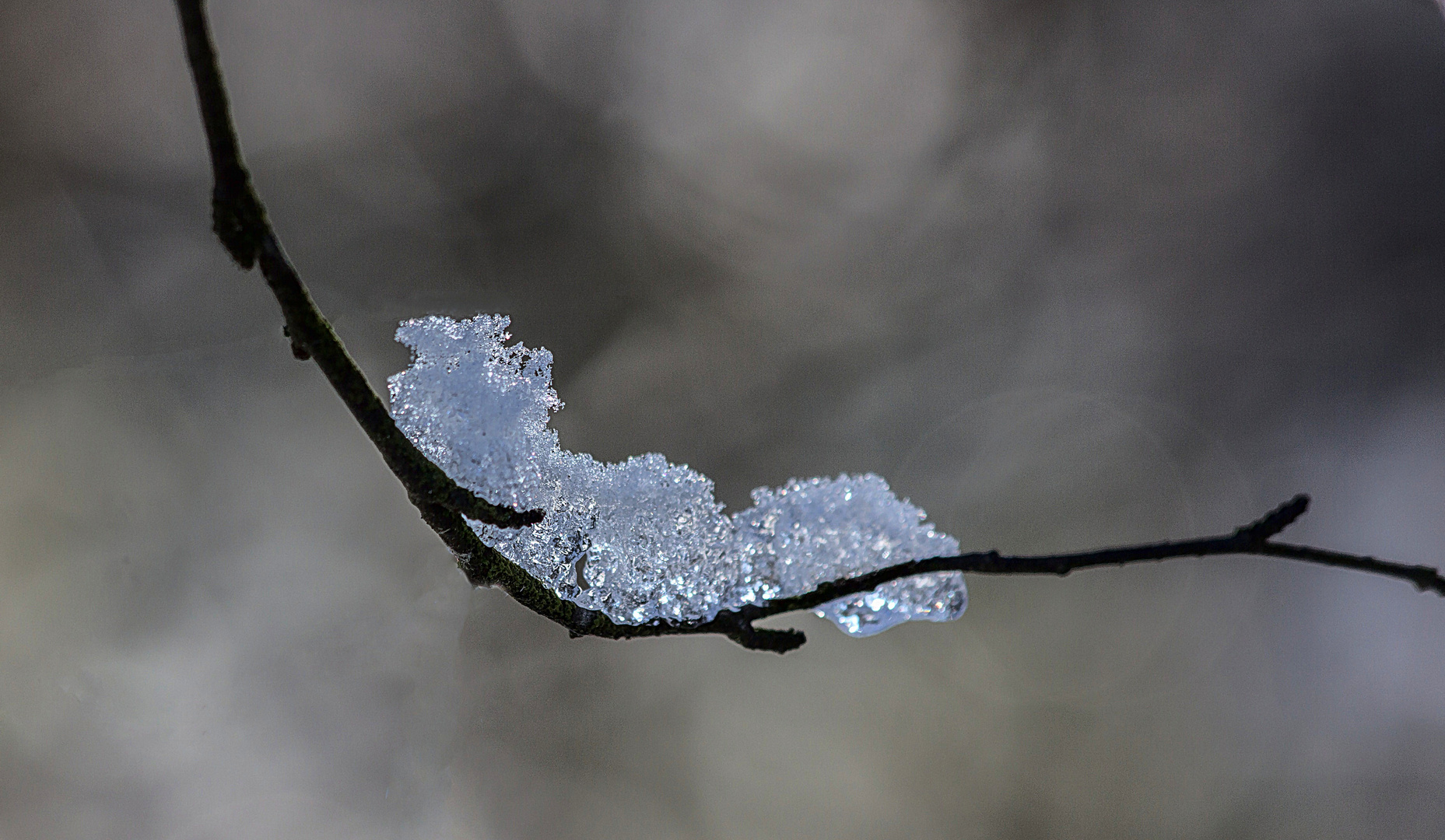 Impression mit Bokeh im Winter 