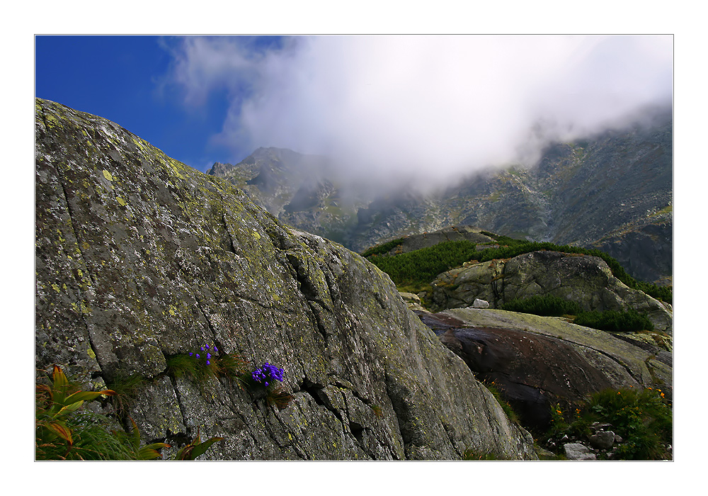 *Impression montagnarde*