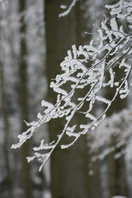 Impression Odenwald