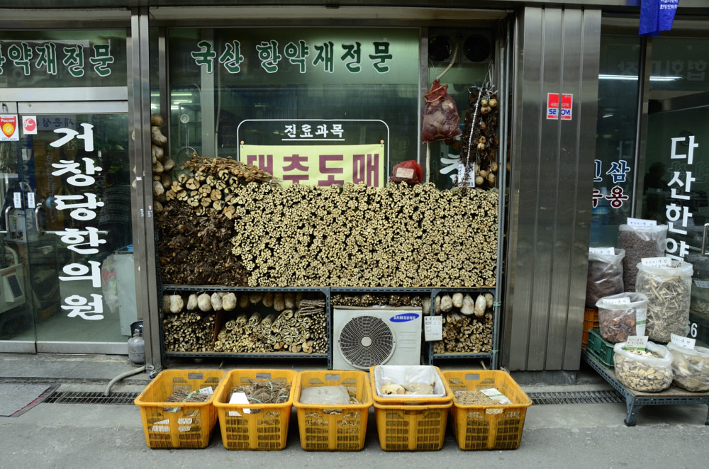 Impression of a Day Trip in Seoul (3)