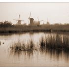 "Impression" of Netherlands on a raining day