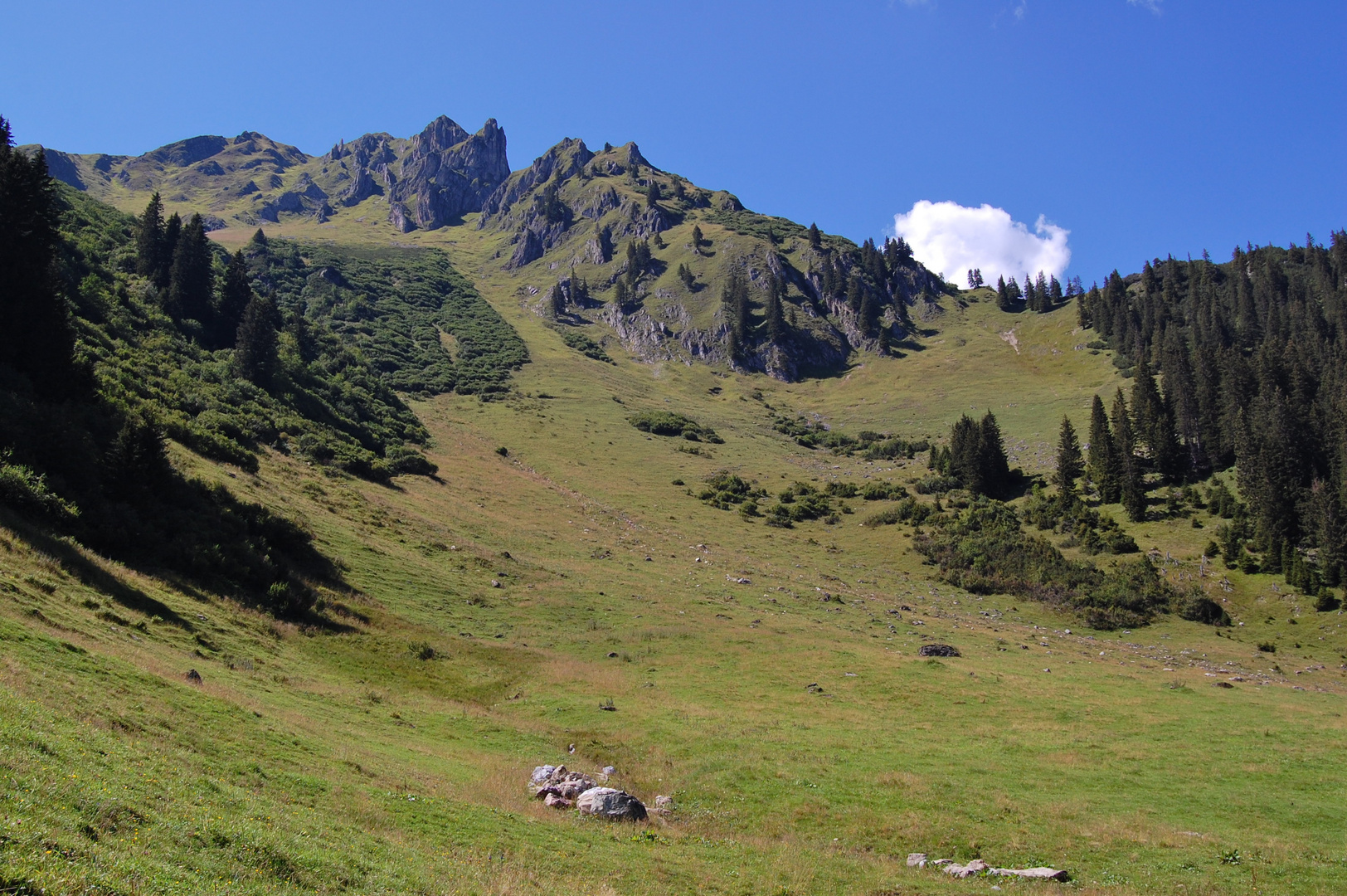 impression rechts vom Weg im Gauertal (ohne Polflter)