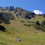 impression rechts vom Weg im Gauertal (ohne Polflter)