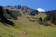 impression rechts vom Weg im Gauertal (ohne Polflter)