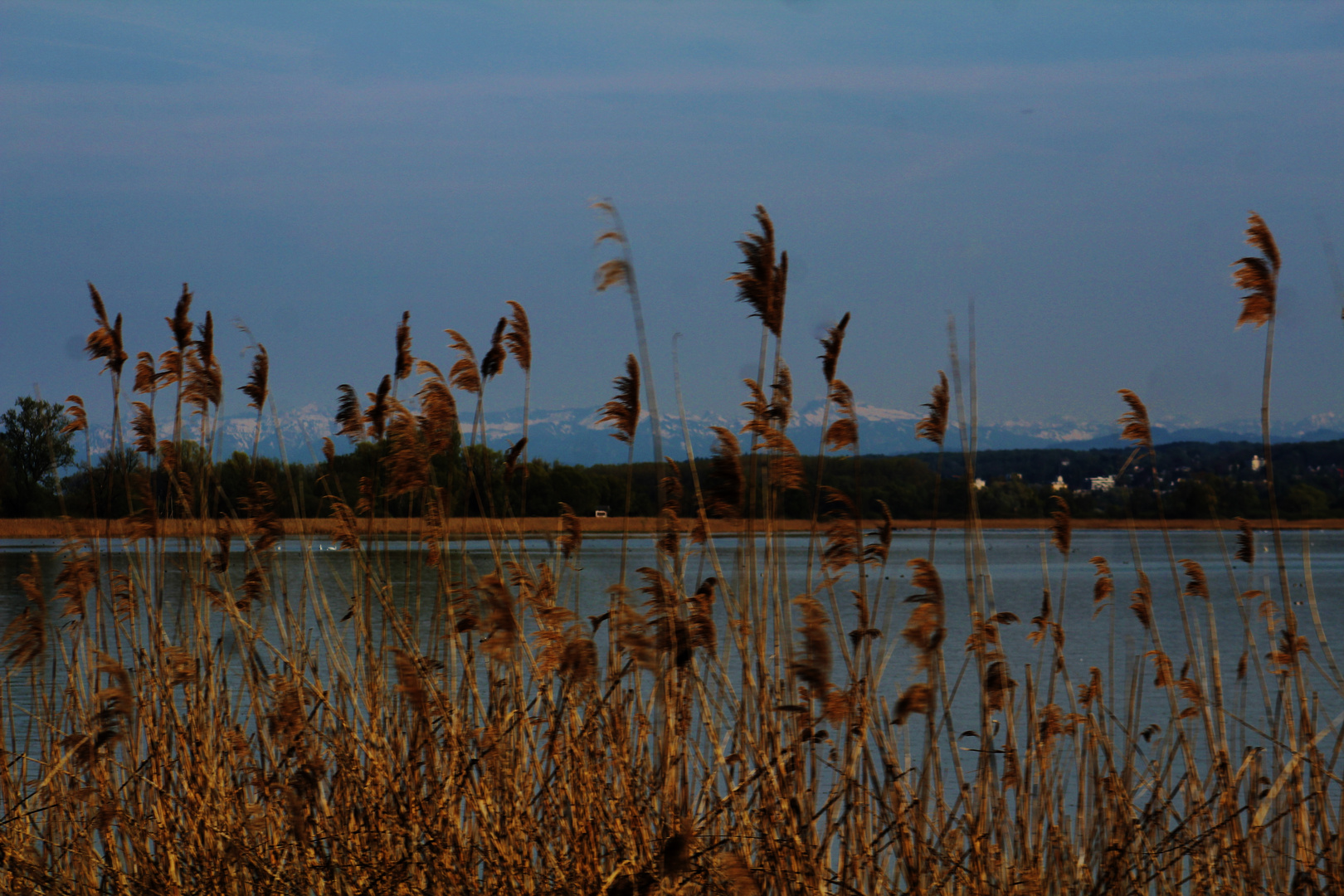 Impression Reichenau