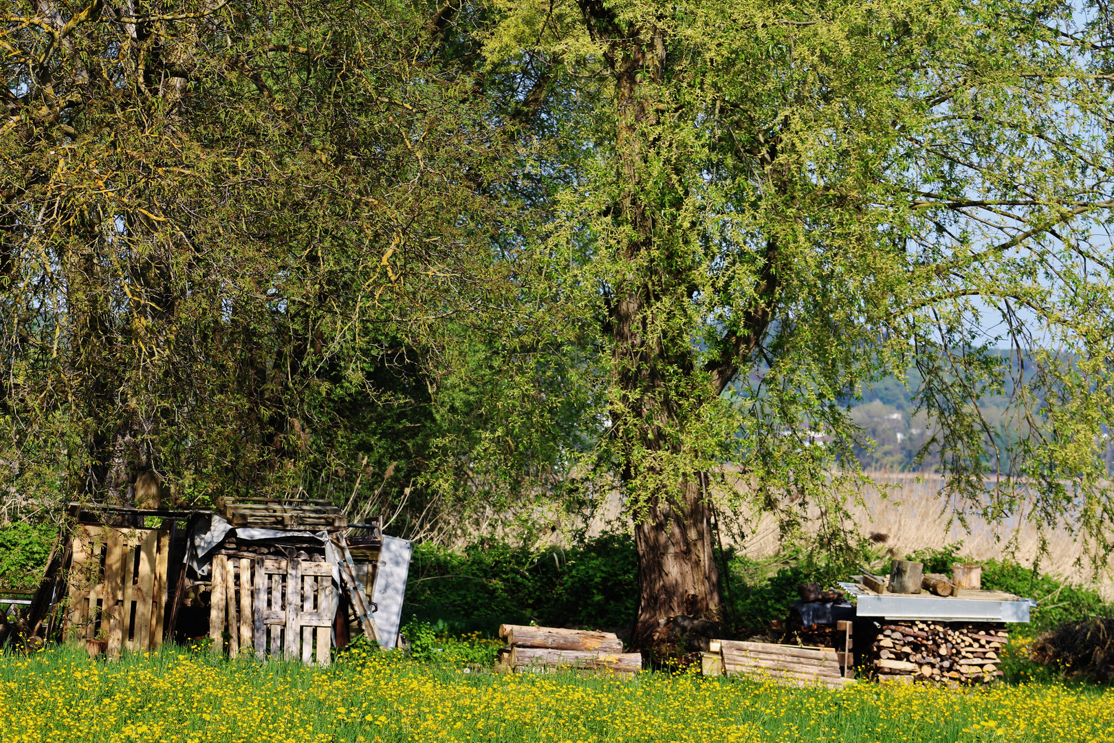 Impression Reichenau