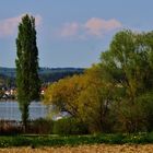 Impression Reichenau