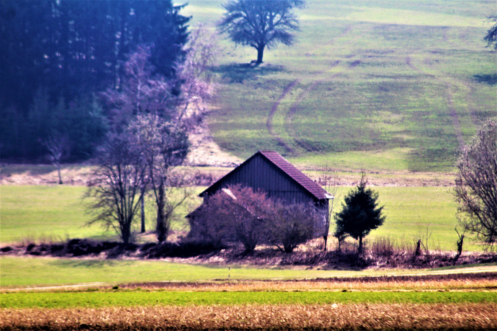 Impression schwäbische Alb