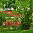Impression verte au Jardin Jayan  -  Agen