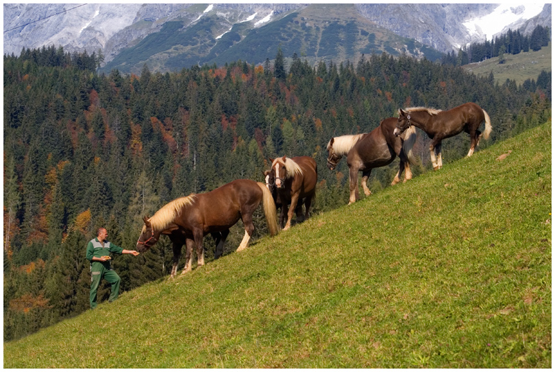 Impression vom Ausflug Mühlbach, Hochkönig